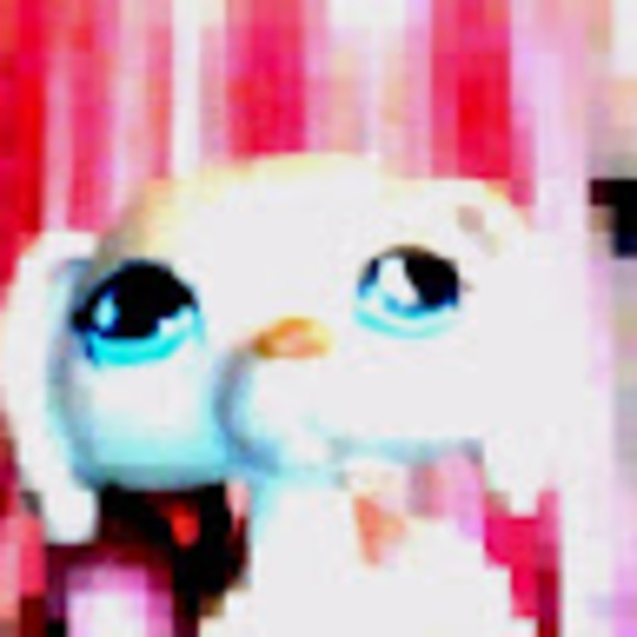 Meet your Posher, Laura - Picture 1 of 1